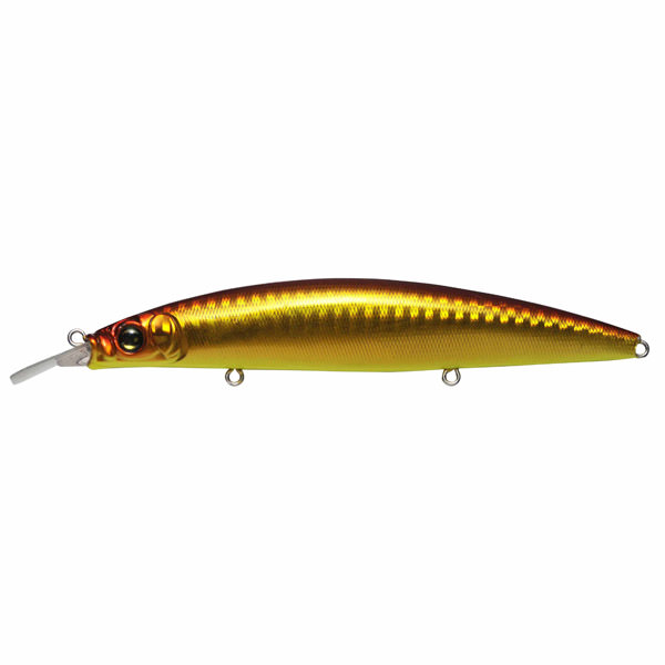 メガバス　アサライム　megabass 超レア 限定品】メガバス アサイラム 20周年記念 (記念品ルアー