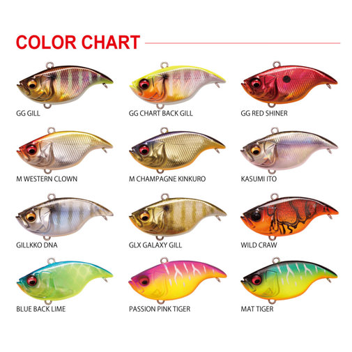 VIBRATION-X DYNA(バイブレーションX ダイナ)(RATTLE IN) GG