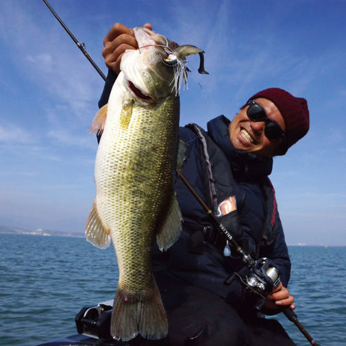 ウバユリ 25 Rainbird US415 4