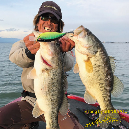 BIG-M(ビッグエム)7.5 イースタンチャート ルアー | Megabass