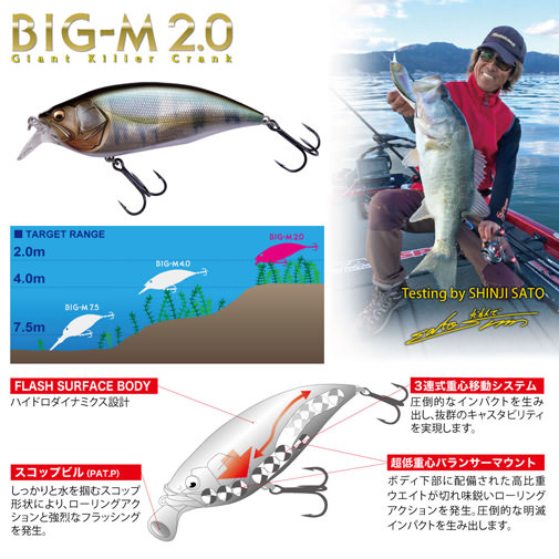 予約：3月末～4月末発送】BIG-M(ビッグエム) 2.0 PM ゴーストアユ ルアー | Megabass - メガバス オンラインショップ
