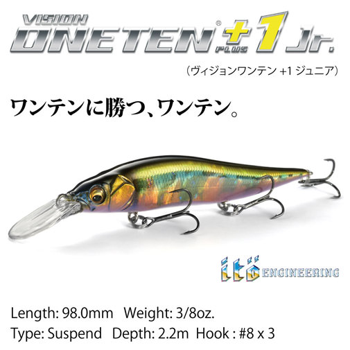 VISION ONETEN+1 Jr.(ワンテンプラスワン ジュニア) 和銀ハス P1