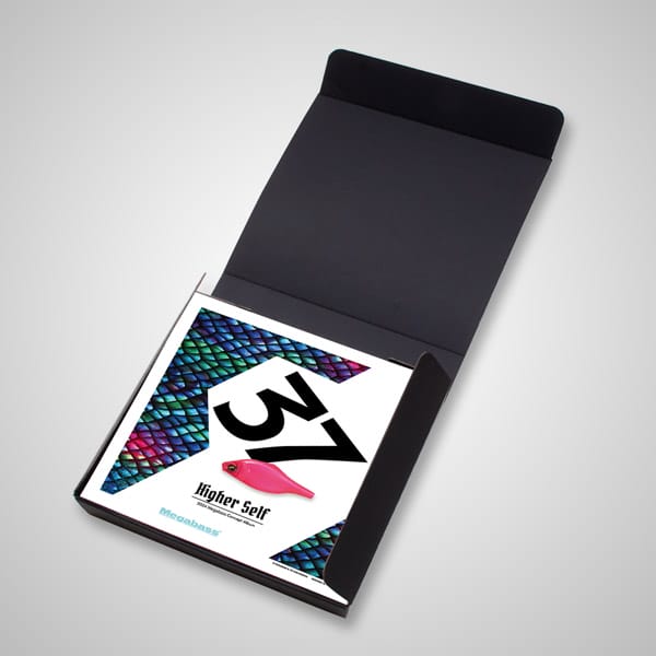 2月中旬発送】2024 CONCEPT ALBUM BOX POPMAX ルアー | Megabass 