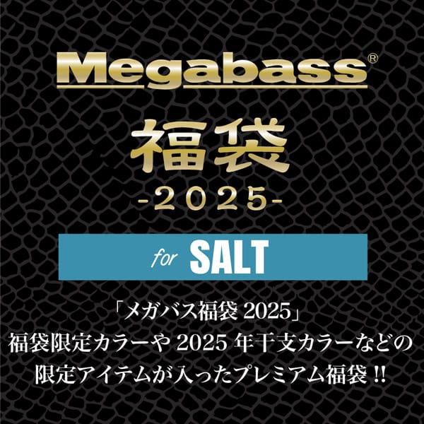 メガバス メガバス福袋2025 格納庫 合えれ