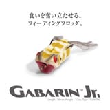 メインイメージ