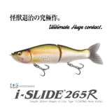 アイスライド 進化したアイスライド～新旧の違いを徹底解剖！！～ | Megabass