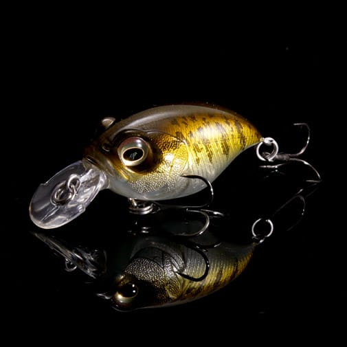【8月上旬発送】【オンライン限定】SR-X GRIFFON SG スモールマウスバス