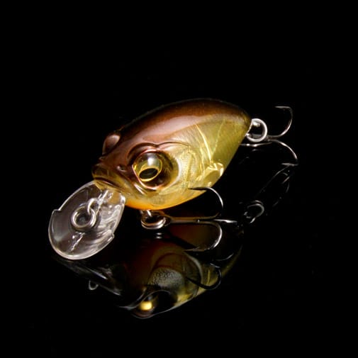 【10月上旬発送】【オンライン限定】SR-X GRIFFON GP サフラン