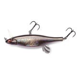 メインイメージ メインイメージ