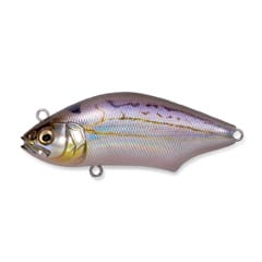 メインイメージ メインイメージ