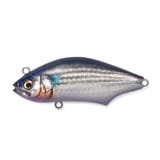 メガバス　ハダラトラップ　HADARA TRAP   5色セット HADARA TRAP | Megabass-メガバス