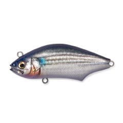 メインイメージ メインイメージ