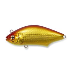 メインイメージ メインイメージ