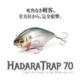 メインイメージ メインイメージ