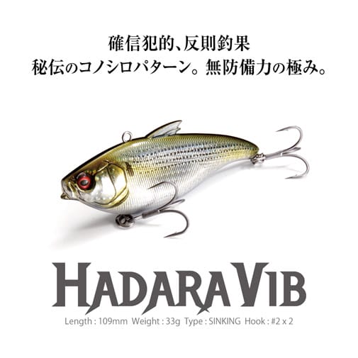 11月下旬発送】HADARA VIB(ハダラバイブ) GG ゴールドチャートコノシロ
