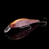 ���C���C���[�W