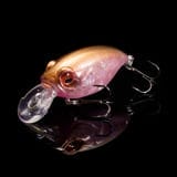 ���C���C���[�W