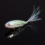 メインイメージ メインイメージ