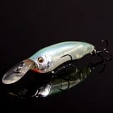 メインイメージ メインイメージ